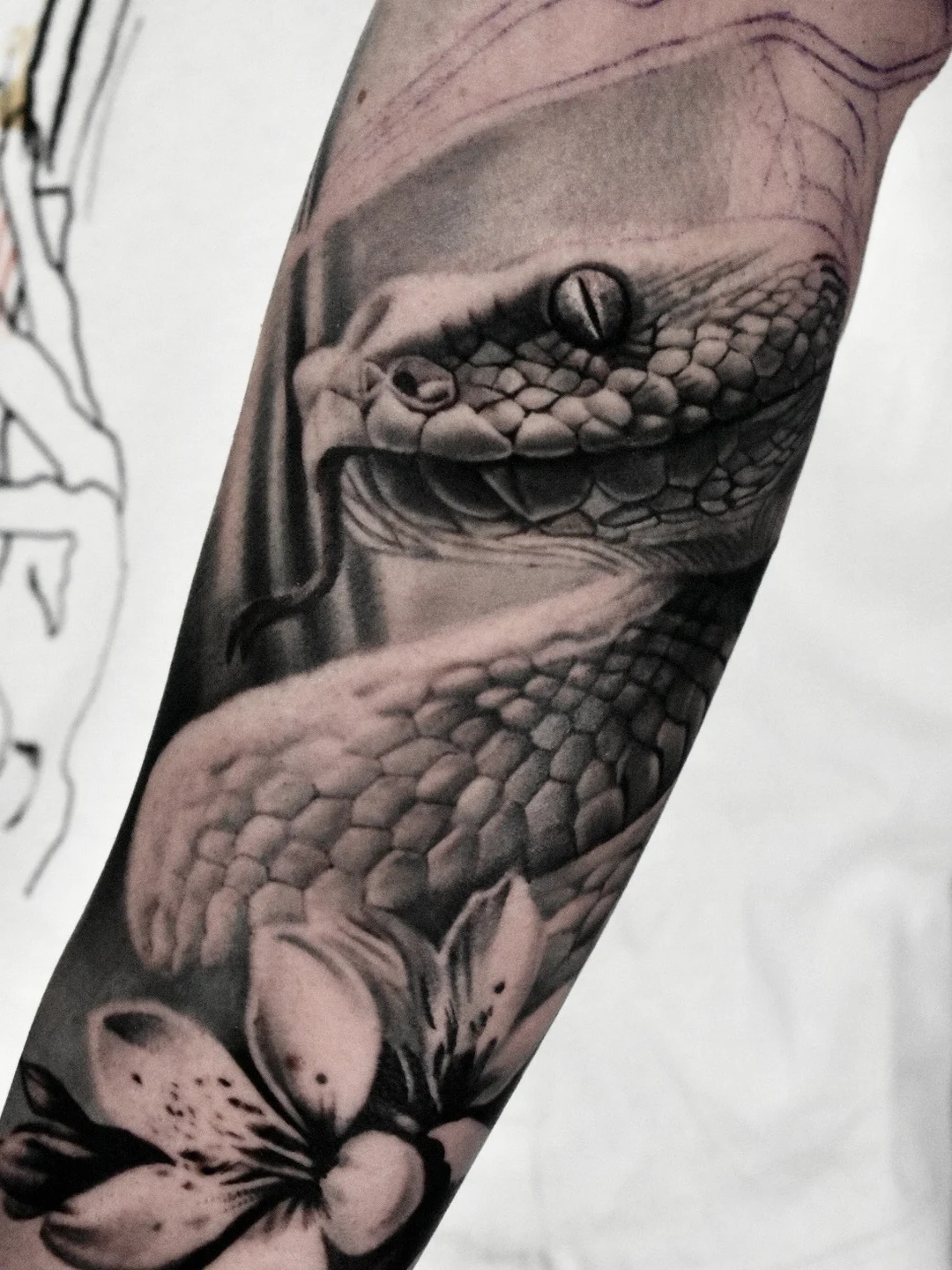 Realistic black and grey serpent tattoo
